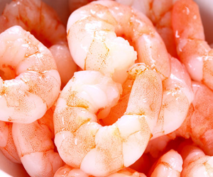 peeled-jumbo-prawns-for-sale