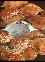 Dry Crab Shell - Natural and Eco-Friendly Product for Fertilizers, Animal Feed, and Chitosan Production