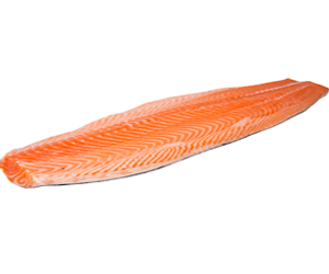 salmon-filet-at-yiseyon.com