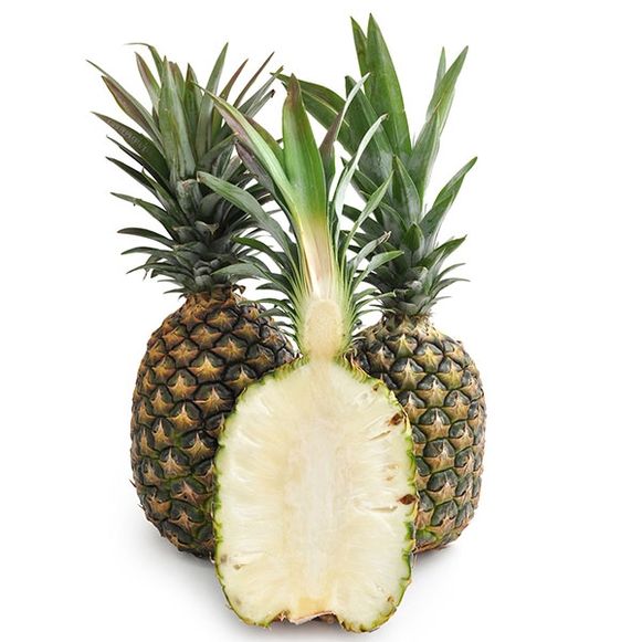 Sugar Loaf Pineapple