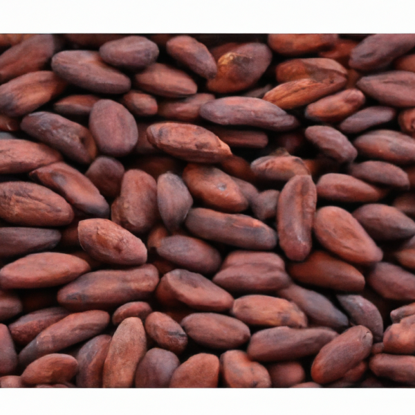 Cocoa Beans  - Rich Flavor, High Quality