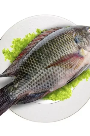 A Tilapia - Perfect for a Delicious Meal fish on a plate -yiseyon.com