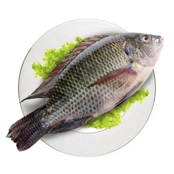 A Tilapia - Perfect for a Delicious Meal fish on a plate -yiseyon.com